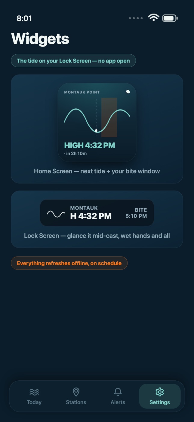 Home and lock screen widgets